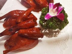 -顺德了能馆(虎门店)