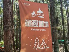 -重庆睡佛山森林公园