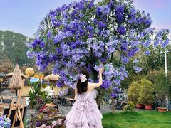 -HERRE·FARM 赫尔露营农场·团建聚会包场