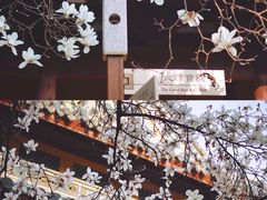-龙华寺