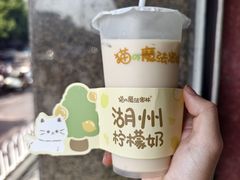 -猫的魔法密林(衣裳街店)