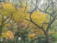 -龙头寺公园