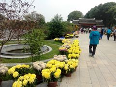 -洪湖生态旅游区