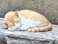 -吴财记面家(大同路店)