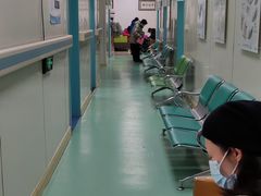 -北京观赏动物医院·24小时大型综合·猫专科·异宠专科
