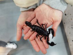-Moni星球萌宠·小马宝莉·灵蛇·高端高阶全萌宠互动体验俱乐部(红豆国际广场店)