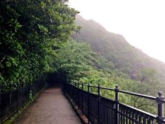 -罗富记粥面专家(摆花街店)