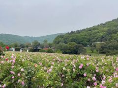 -龙寺生态园