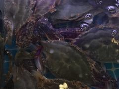 -金海湾海鲜排档(朱家尖店)