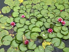 -大连植物园