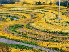 -三圣花乡旅游区