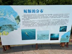 -霞山观海长廊