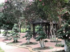 -武汉紫薇都市田园