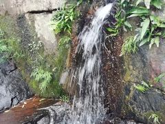 -呀诺达热带雨林