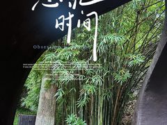 -三江森林温泉度假区