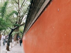 -北京国子监胡同
