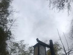 -塔川景区