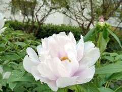 -苏州香山国际大酒店