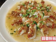 -优护优家Ucare月嫂育儿嫂陪伴师(静安店)