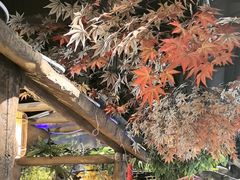 -城墙拐拐火锅(三峡广场黑金冠店)