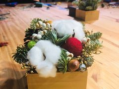 -植物学家的女儿(北马道巷店)