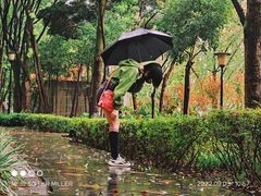 -重庆市江北嘴中央商务区中央公园