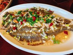 油泼多宝鱼-老胶东家常菜馆(市场一路店)