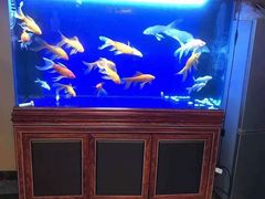 -知足堂养生会所(碑亭巷店)