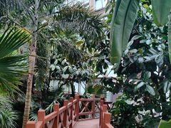 -石家庄市植物园