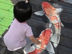 -大湾区中央湿地公园