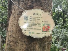 -海珠湖公园