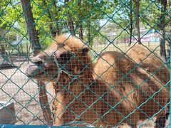 -大连铭湖国际观光牧场
