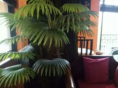 -MintsThai沁泰都市SPA·泰式按摩(公园1903店)