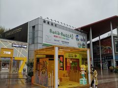 -证大大拇指广场(芳甸路店)