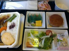 -全日本空输株式会社(上海办事处)
