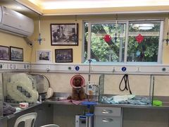 -动物缘宠物医院·骨科·猫科(西二环店)