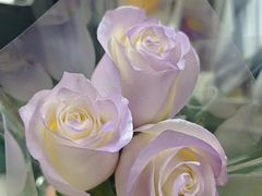 -蘸小院铁锅炖·蘸酱菜·东北菜(怀远门店)