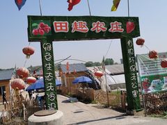 -田趣农庄草莓采摘园