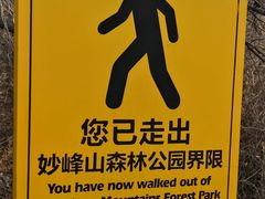 -阳台山自然风景区