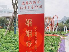 -桂溪生态公园