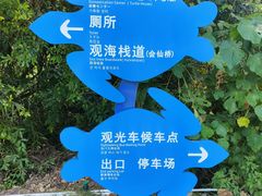 -广东惠东海龟国家级自然保护区