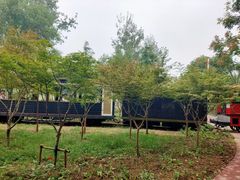 -合肥滨湖国家森林公园