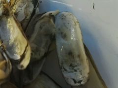 -大连发现王国度假酒店