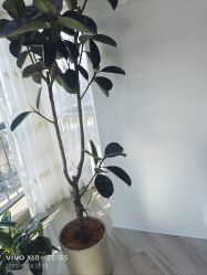-HEYAN荷妍专业脱毛连锁机构
