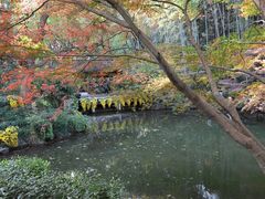 -杭州植物园