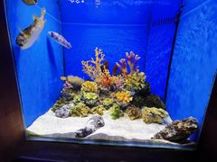 -多彩贵州城极地海洋世界