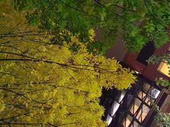 -星巴克(北京成寿寺路店)