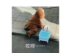 -螺小胖柳州螺蛳粉(钟楼总店)