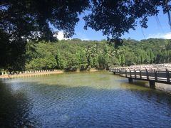 -西樵山风景名胜区-天湖公园