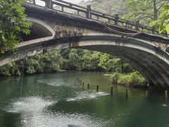 -鼎湖山风景区